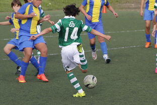 星空·体育app下载-上海申花再遭柔佛新山逆转，1-3失利痛失连胜机会